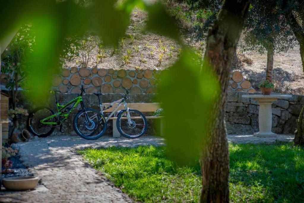 Quinta Vale De Frades